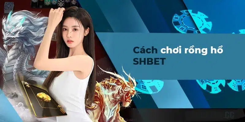 Cùng chơi ngay Rồng Hổ SHBET nào